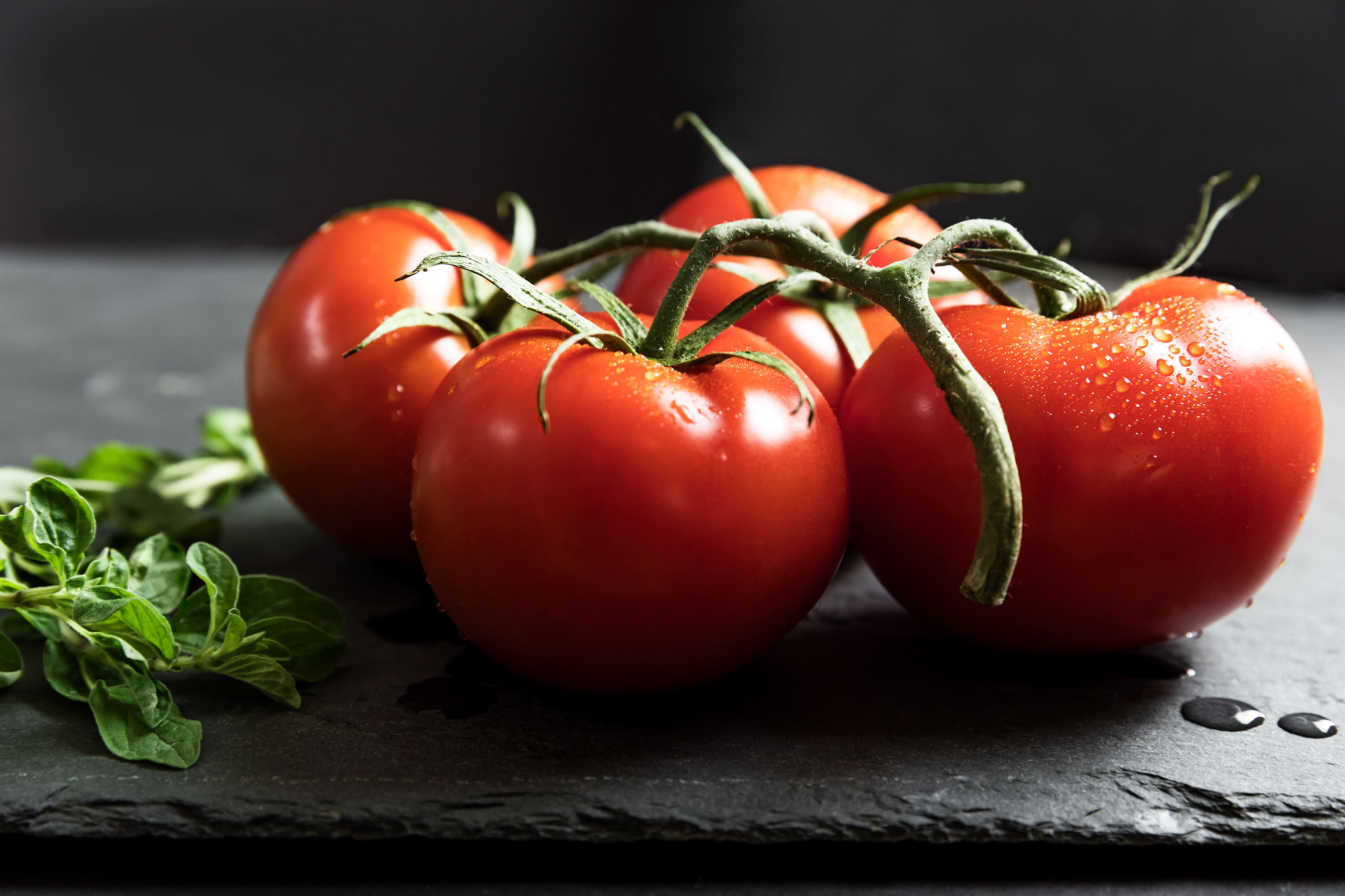 Glanger Photography | Fresh tomatoes on the vine on slate surface with basil 