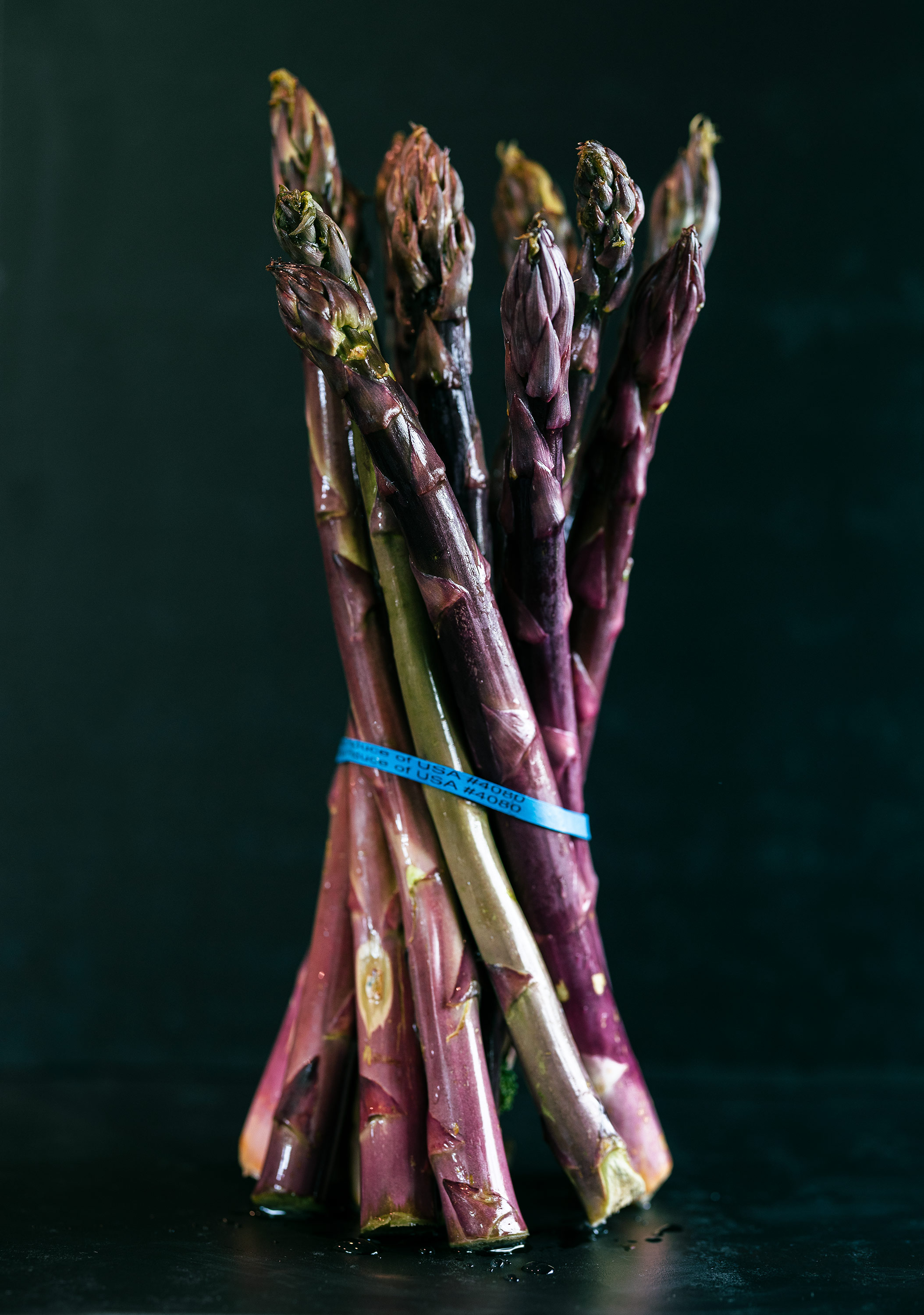 Glanger Photography | Purple asparagus tied with a blue rubber band shot dramatically against a black background