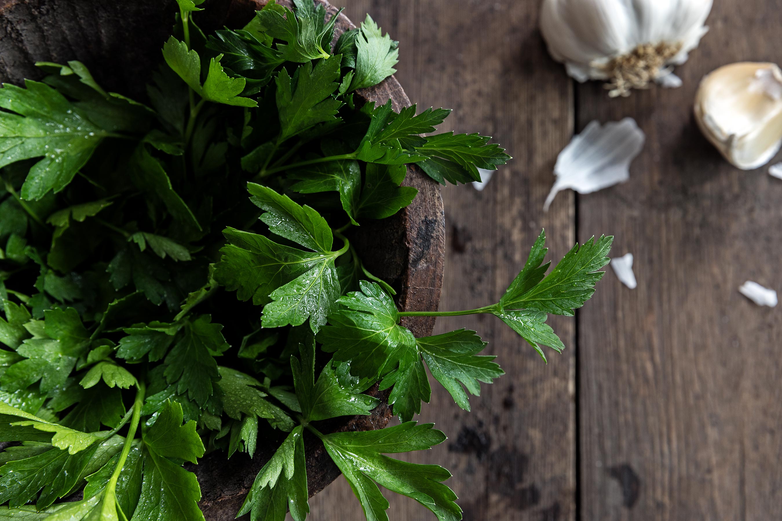 Close-up shot of Italian flat leaf parsley in wooden bowl with Garlic
